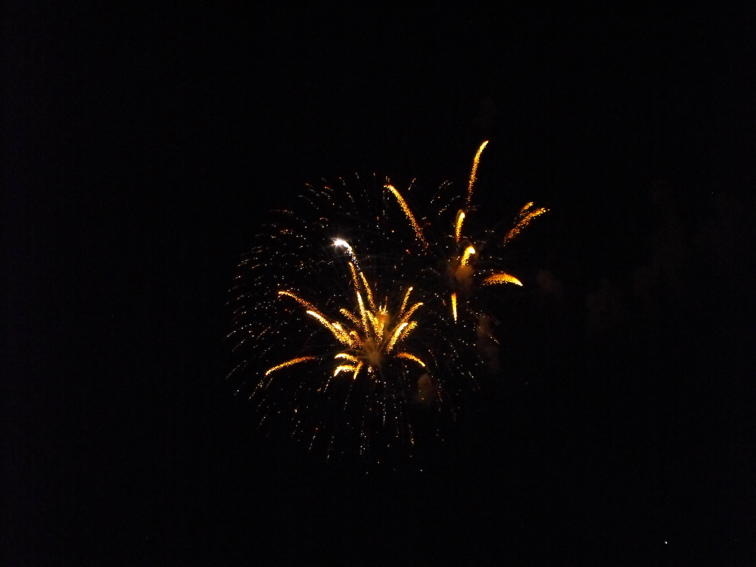 ./2010/Fourth of July/4th July Fireworks Wilm 0048.JPG